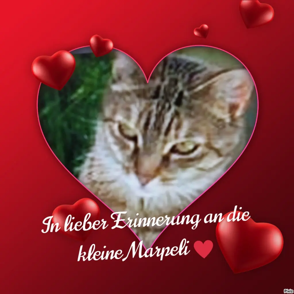 Condolence image of Für Dich kleines Engelchen Marpeli ♥️