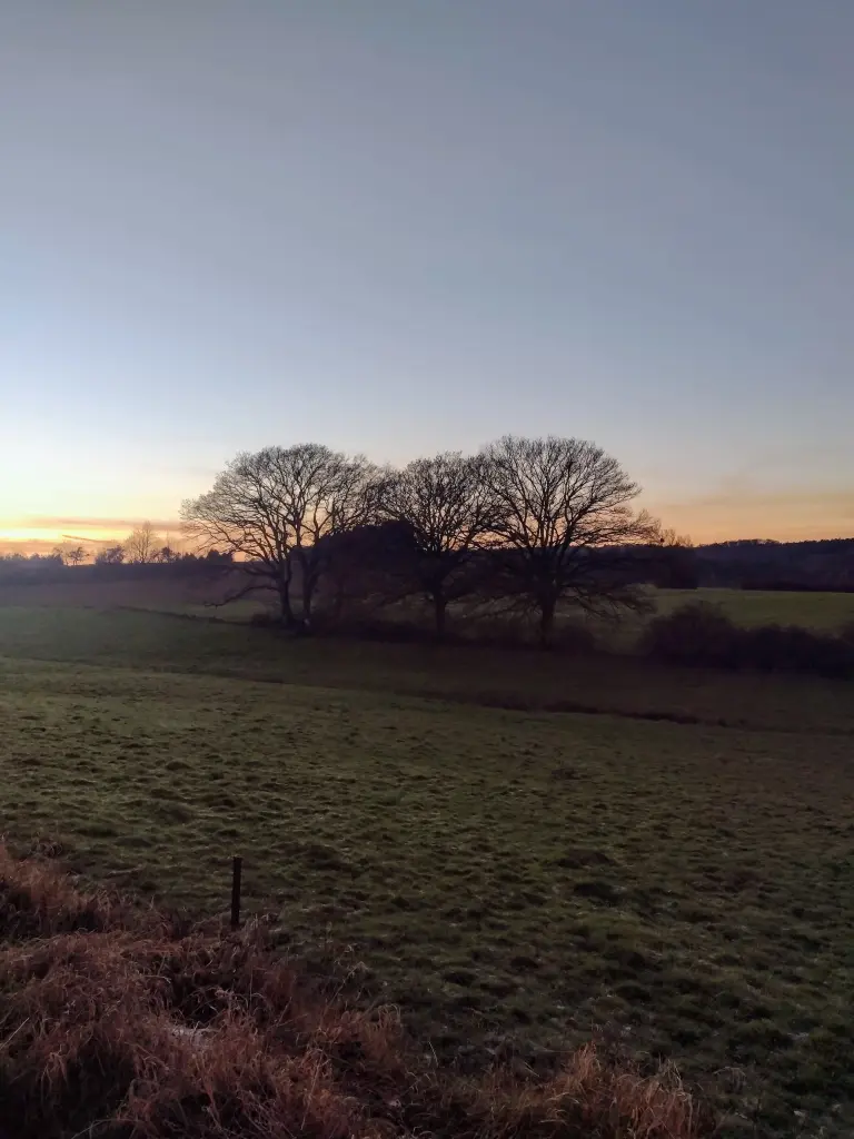 Condolence image of Corinna ♥️