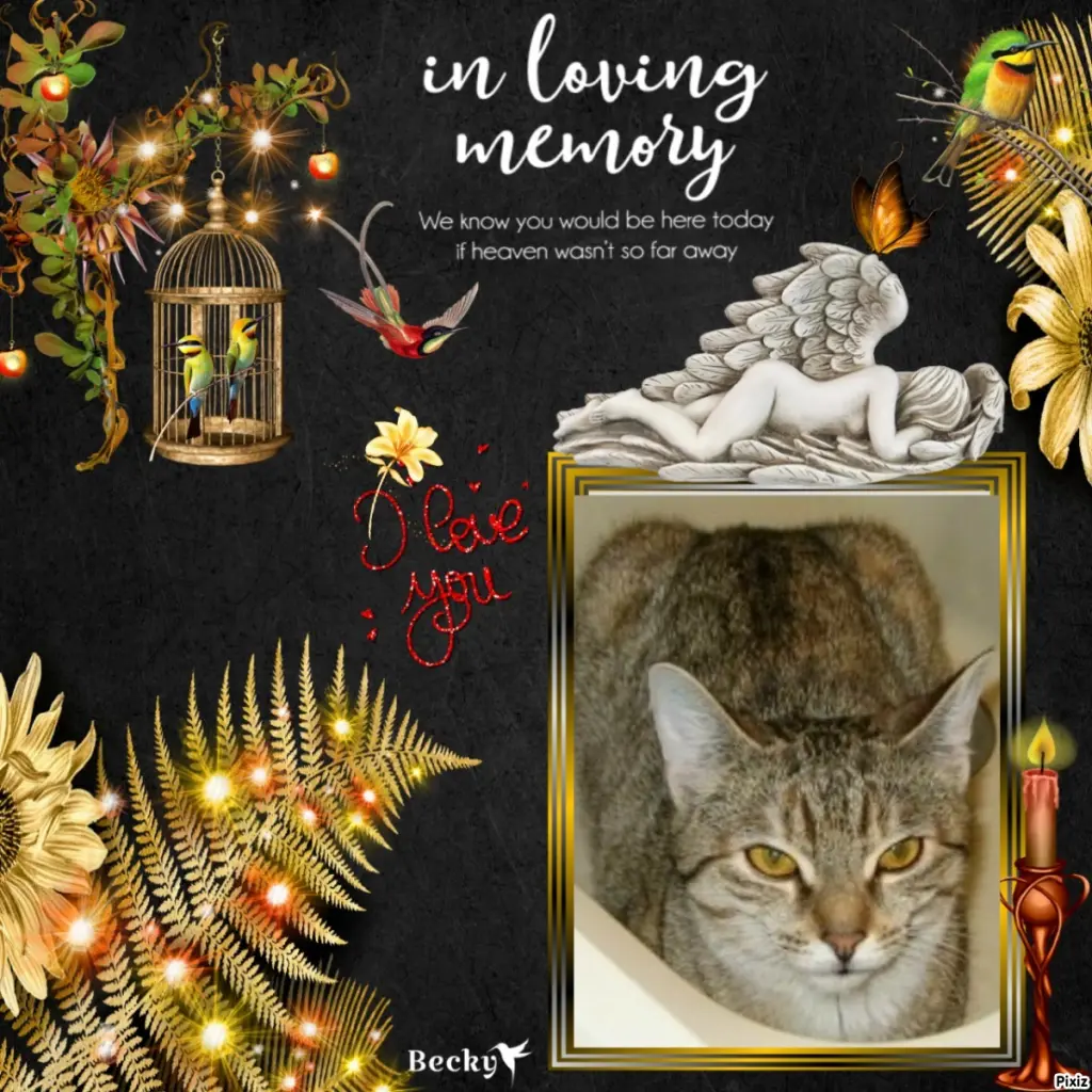 Condolence image of Tanja mit Timmy im Herzen 