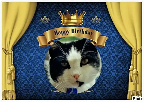 Condolence image of Tanja mit Timmy im Herzen 