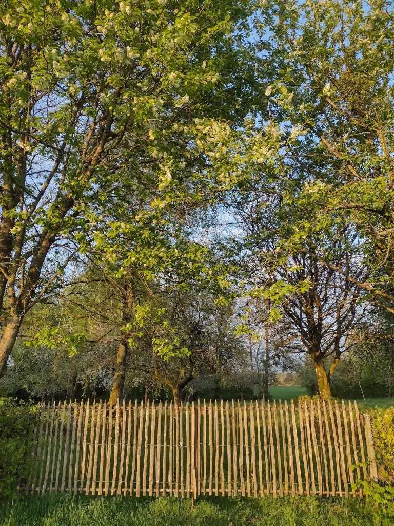 Condolence image of Corinna mit Emma, Vinni-Ved, Linette,Jengi, Pummelchen und anderen Sternleine im Herzen