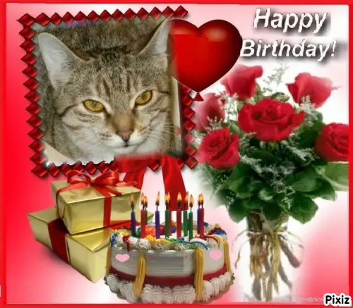 Condolence image of Tanja mit Timmy im Herzen 