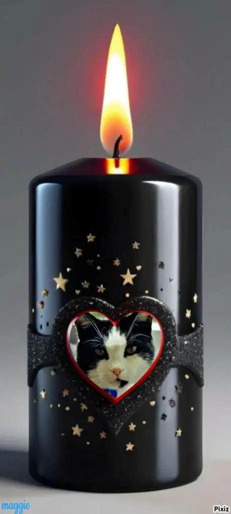 Condolence image of Tanja mit Timmy im Herzen 