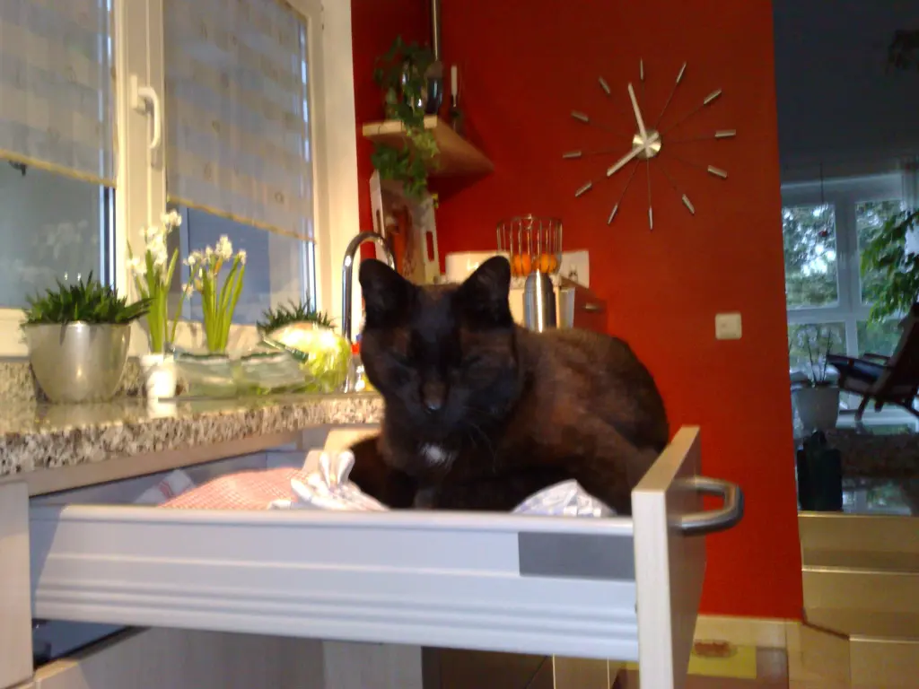 Condolence image of Benny 