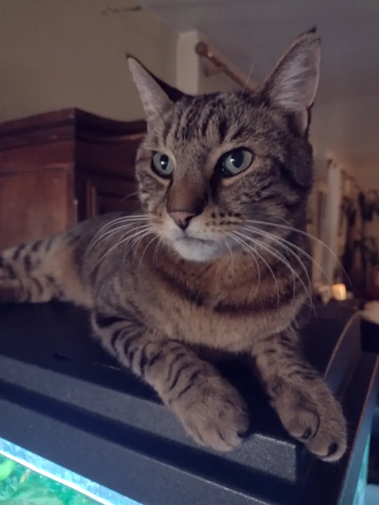 Condolence image of Corinna ❤️