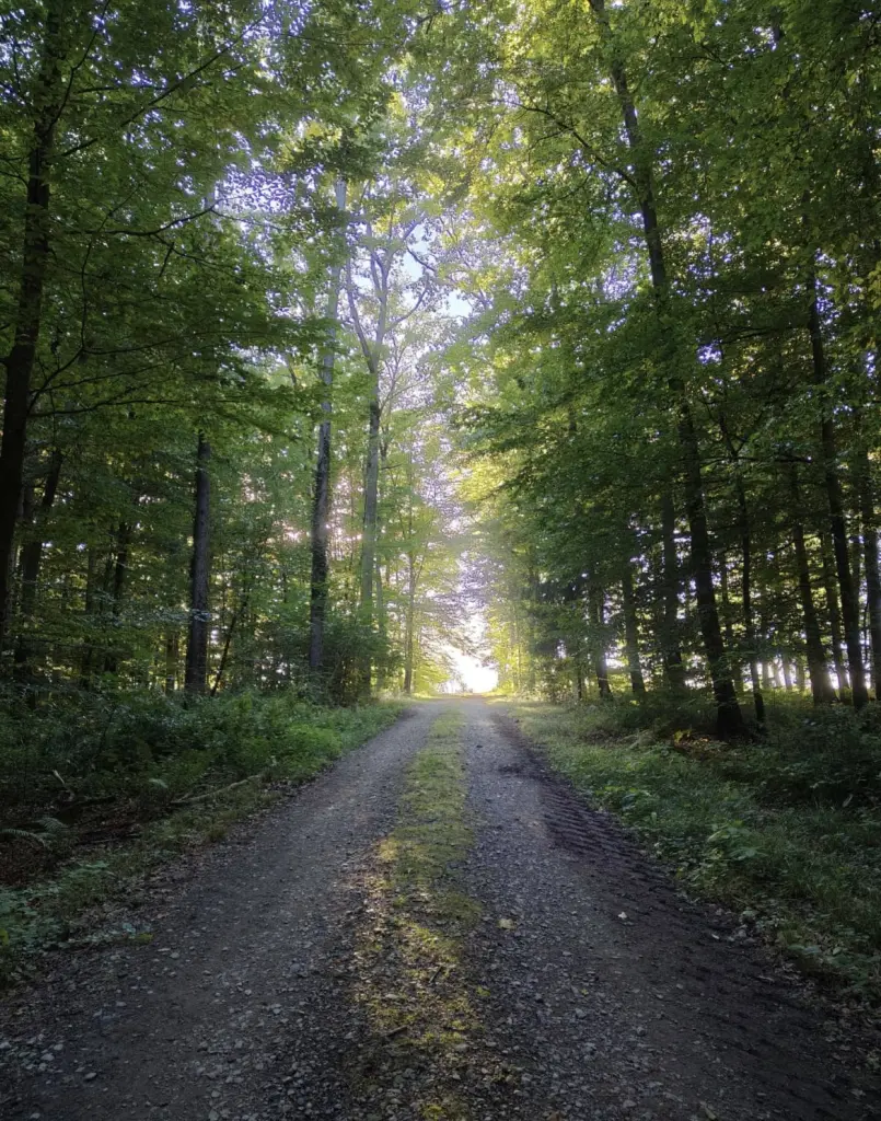 Condolence image of An Marpeli❤️