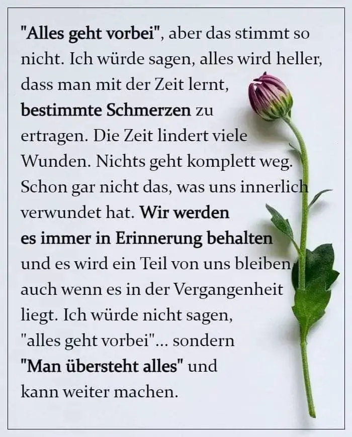 Condolence image of In liebevoller Erinnerung an Marpeli ❤️