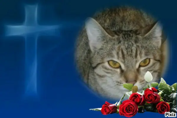 Condolence image of Tanja mit Timmy im 💘