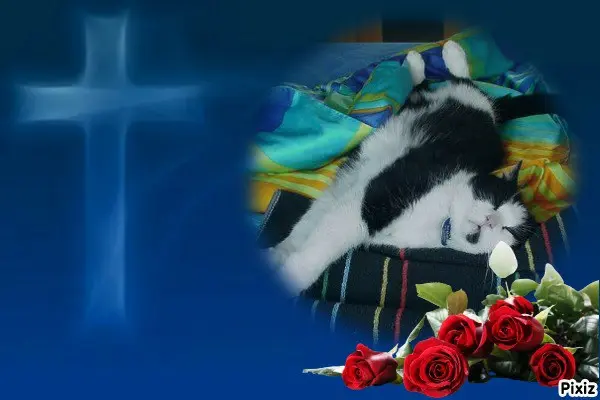 Condolence image of Tanja mit Timmy im 💘