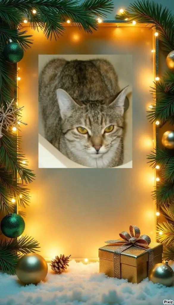 Condolence image of Tanja mit Timmy im 💘