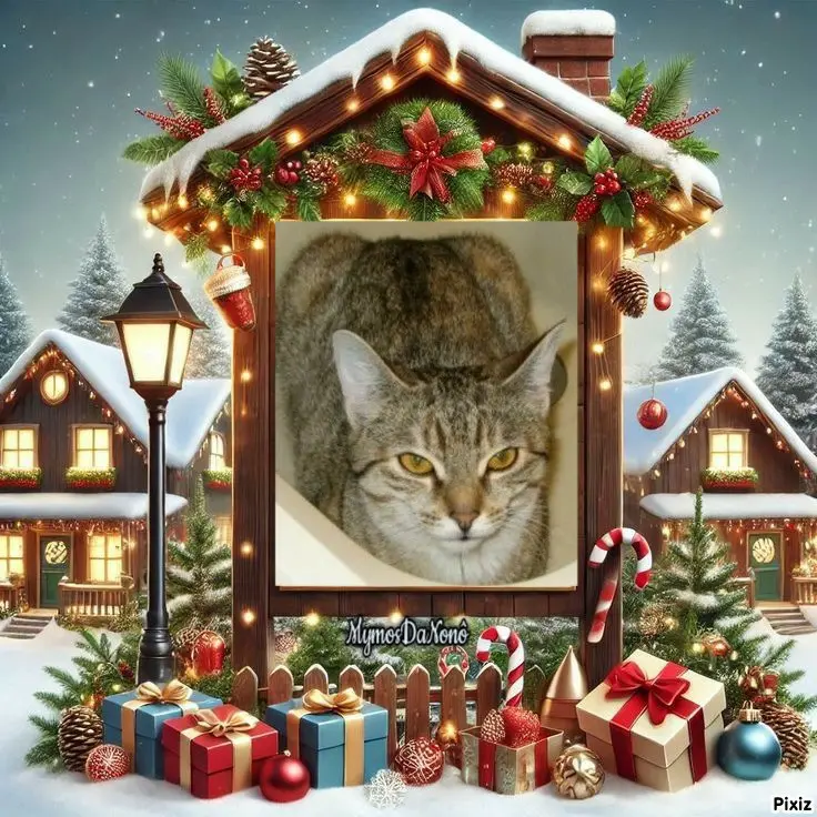 Condolence image of Tanja mit Timmy im 💘