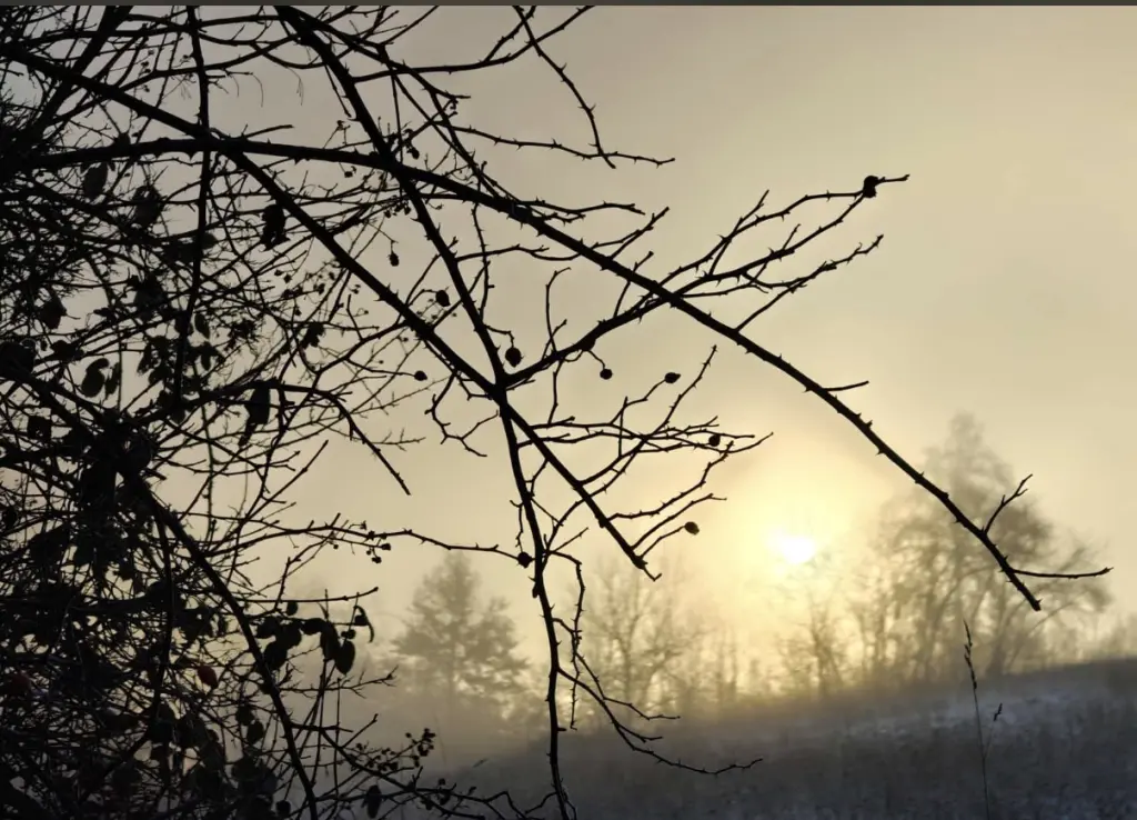 Condolence image of Für Marpeli❤️