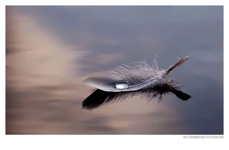 Condolence image of Für Arafat, den König der Zwerge ❤️