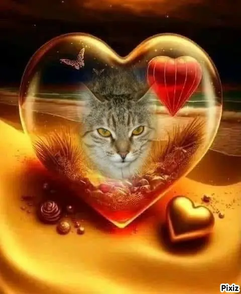 Condolence image of Tanja mit Timmy im 💘🐈🐾