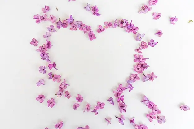 Condolence image of Für Marpeli in Liebe ❤️