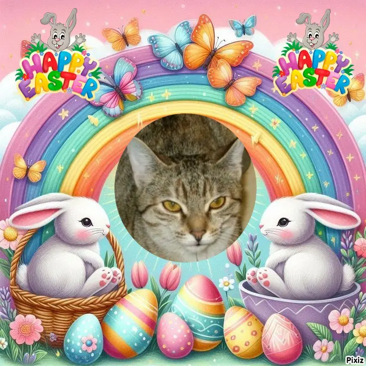 Condolence image of Tanja mit Timmy im 💖🐈🐾