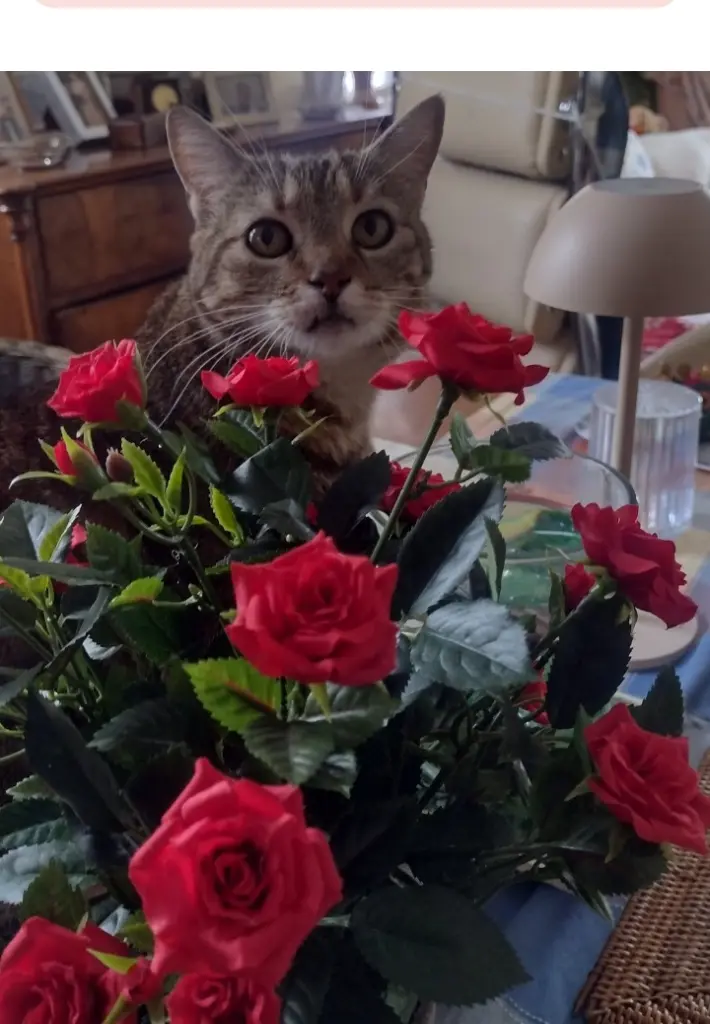 Condolence image of Corinna ❤️