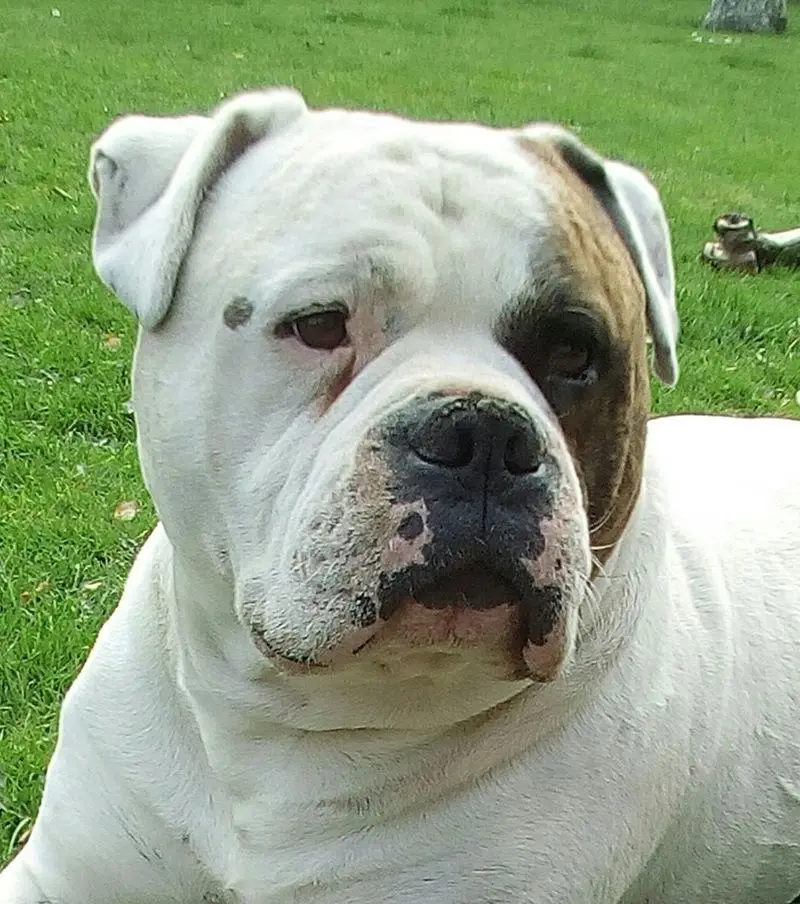 Condolence image of Ursula