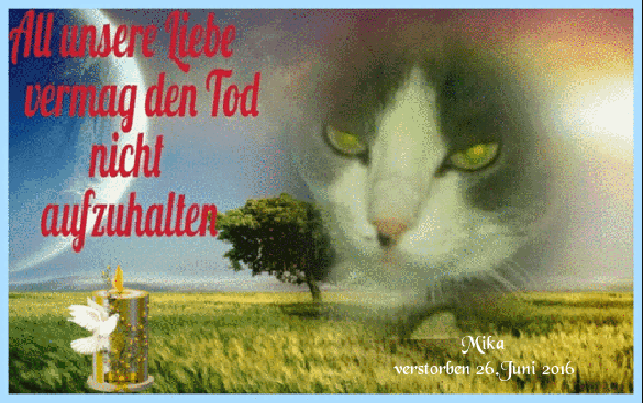 Image from Mika