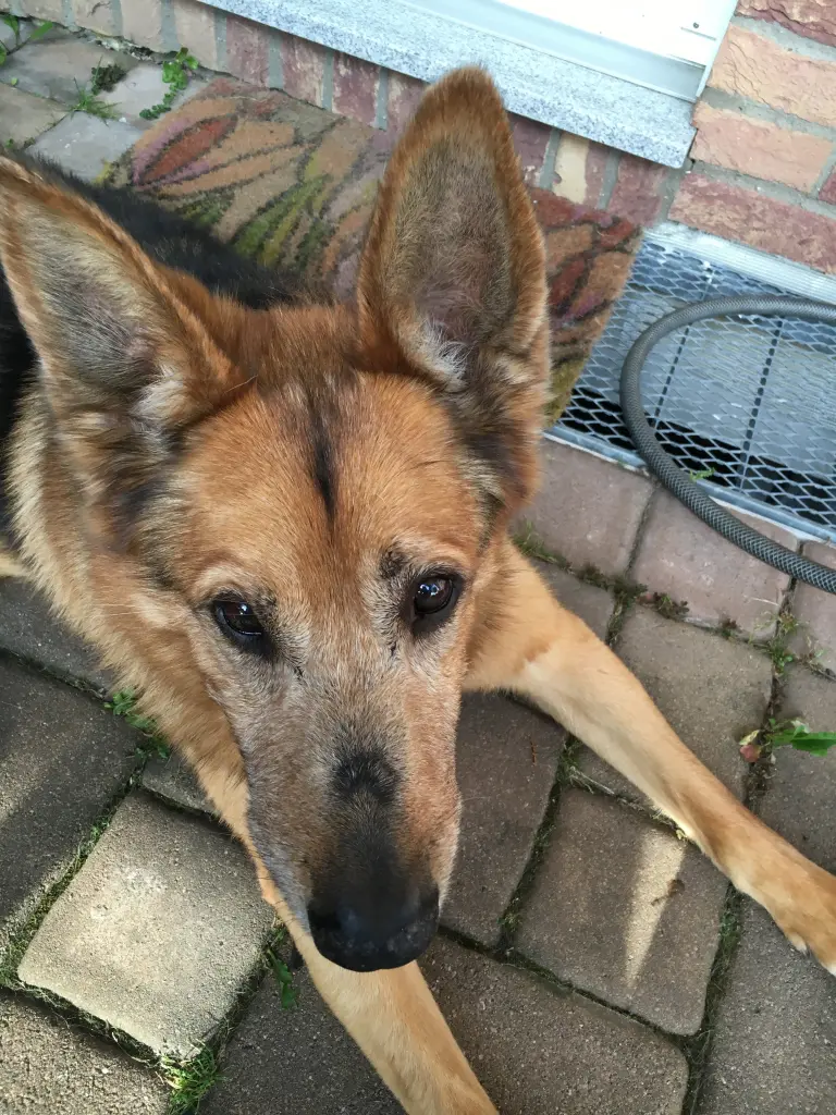 Image from Balu
