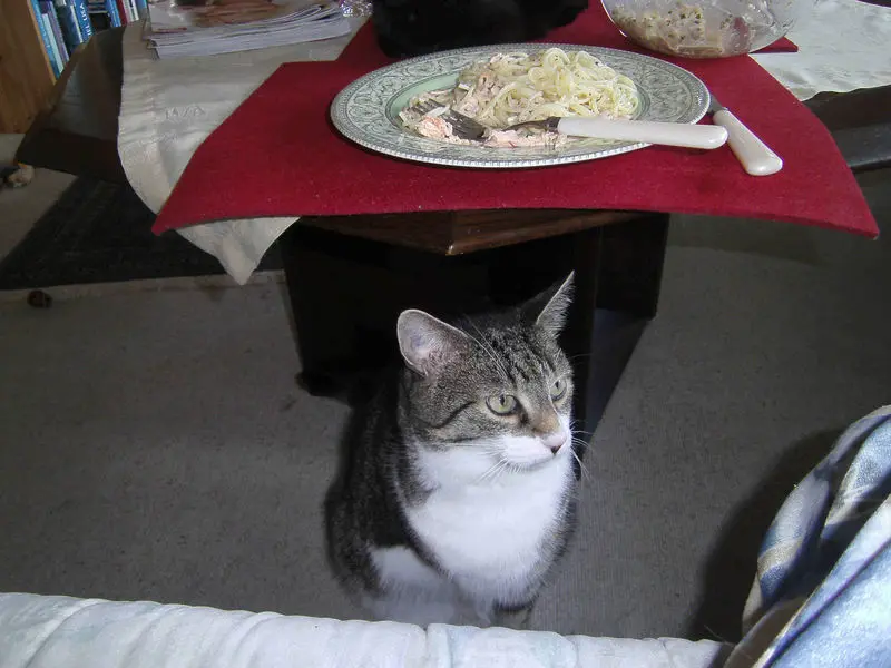 Condolence image of Susanne