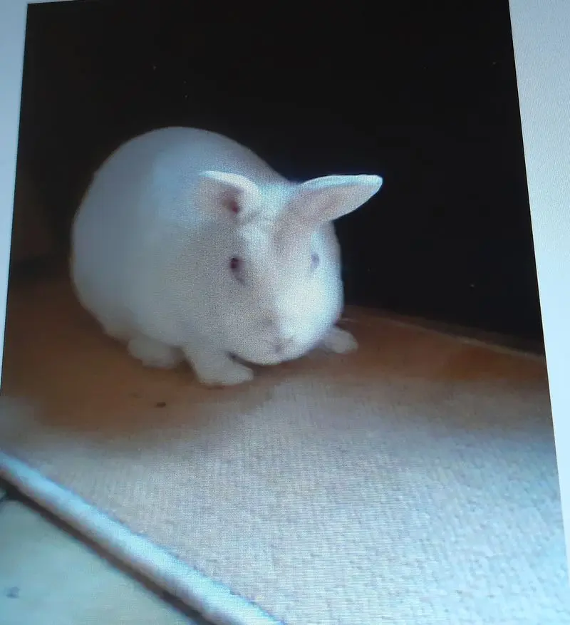 Condolence image of Für Mia ❤