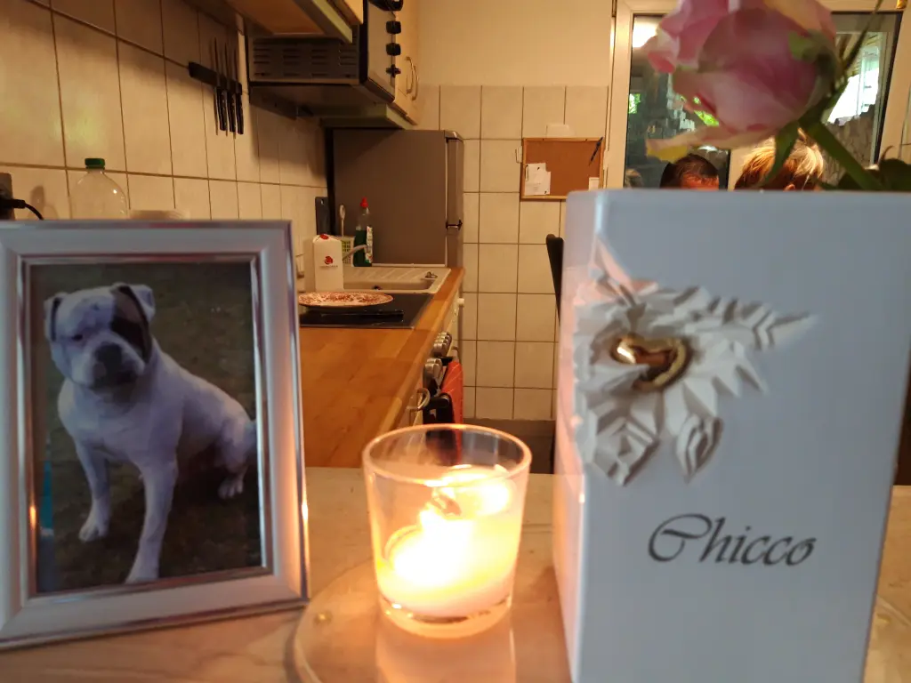Image from Chicco 