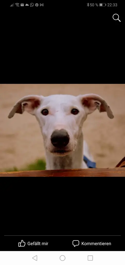 Image from Anubis