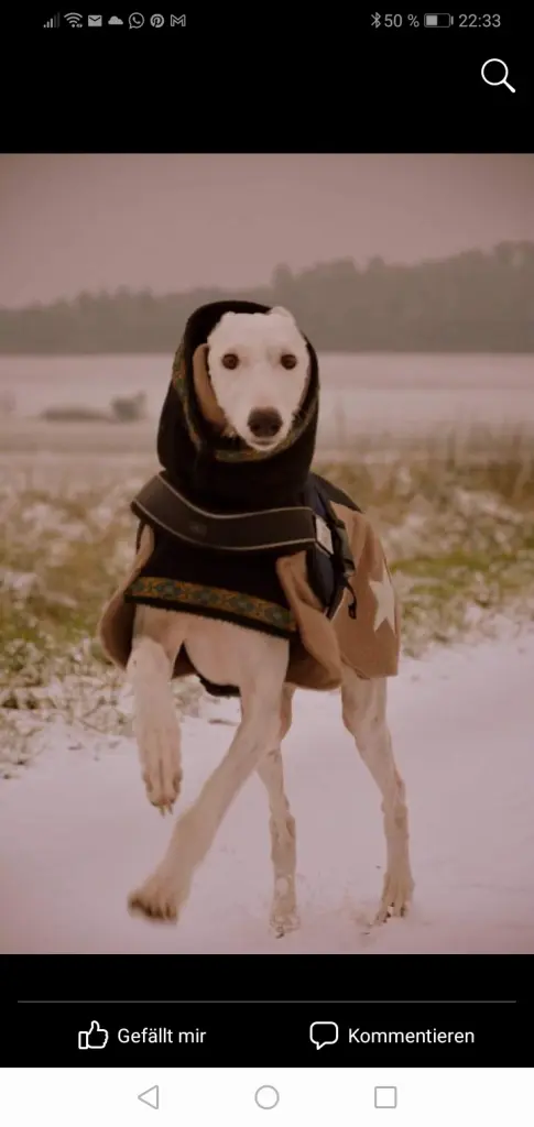 Image from Anubis