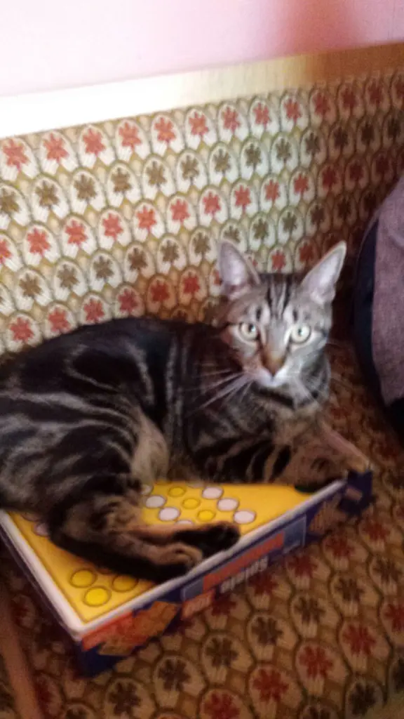 Condolence image of Minette