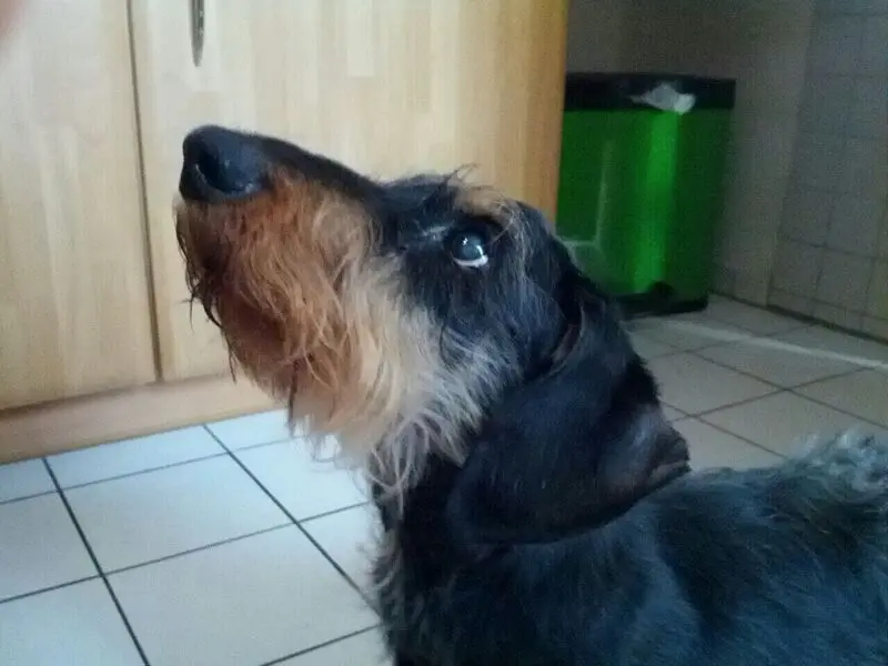 Image from Moritz