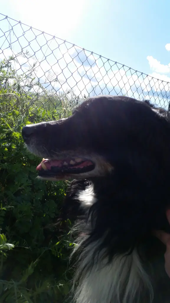 Condolence image of Jenny