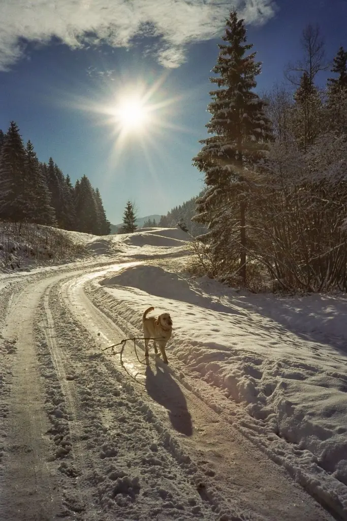 Andachtsbild von Unbekannt