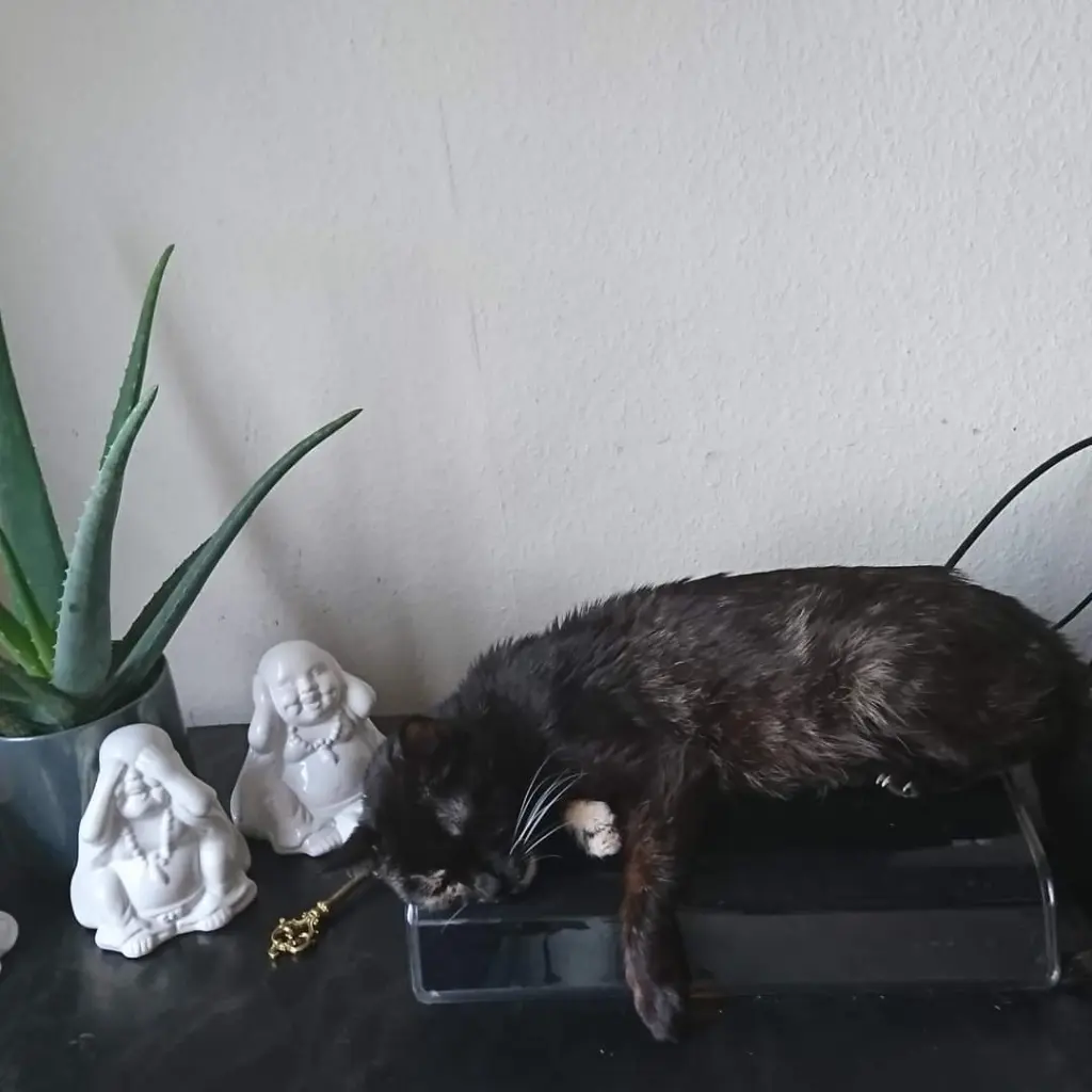 Condolence image of Mama