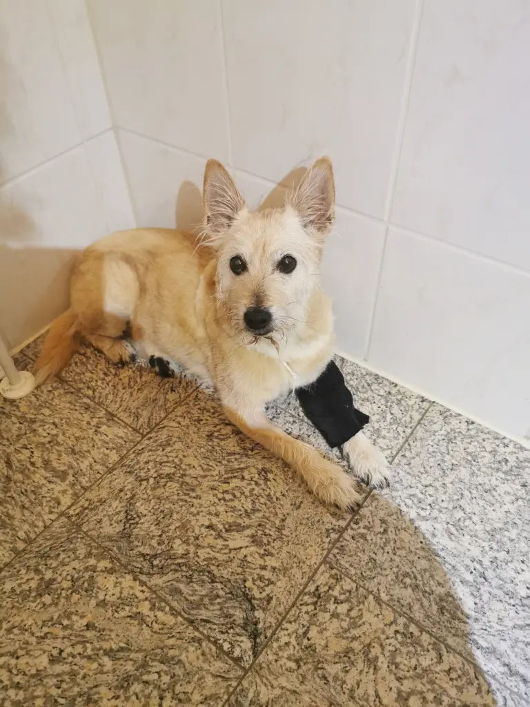 Image from Buffy