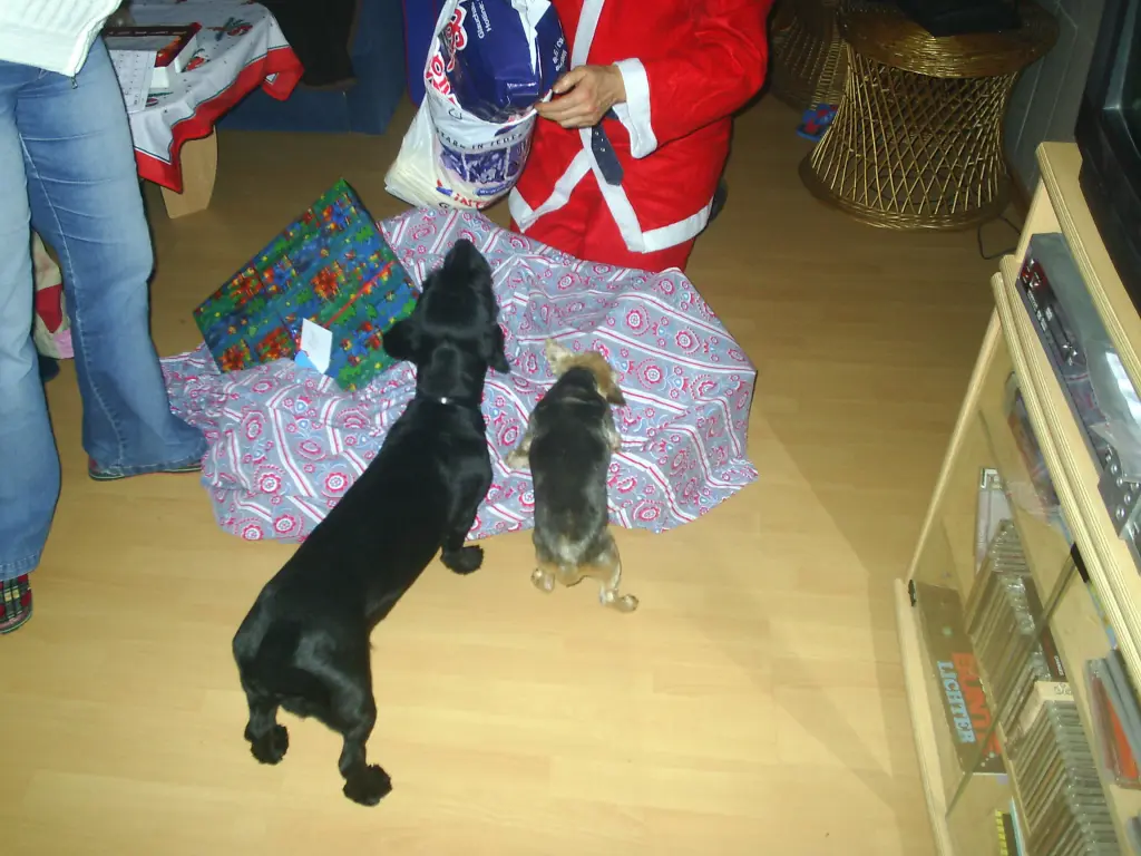 Image from Denny