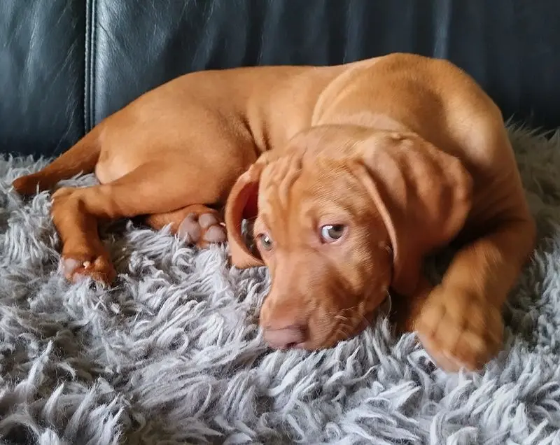 Condolence image of Elke