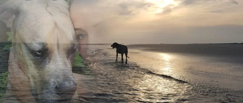 Condolence image of Melanie