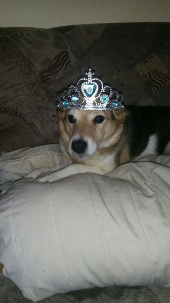 Condolence image of Mama