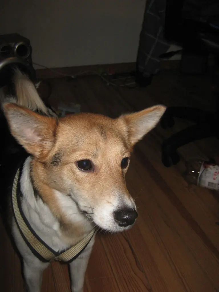Condolence image of Mama