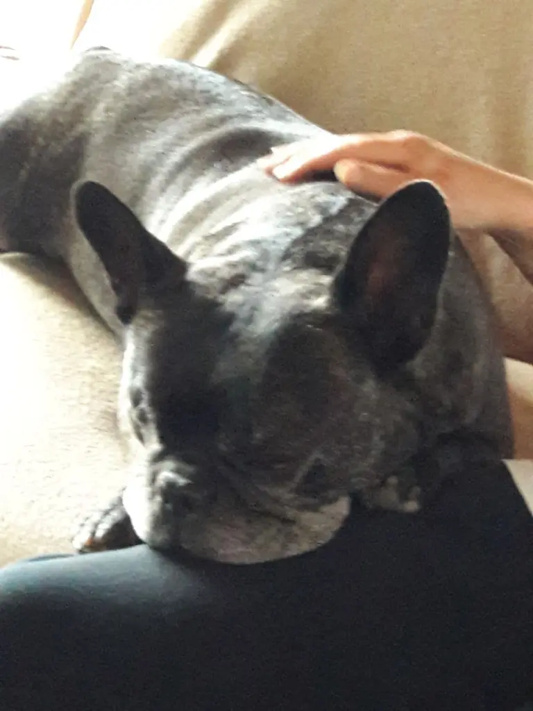 Andachtsbild von Alois und Gudrun mit Yoda im Herzen