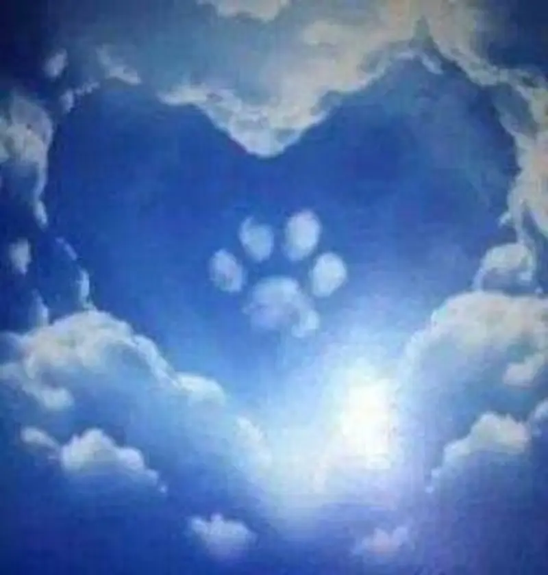 Andachtsbild von Eva mit Paco ❤