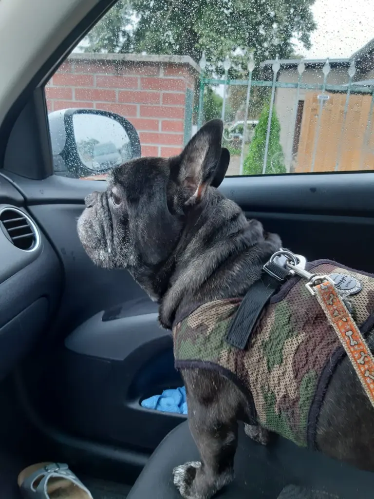 Andachtsbild von Kordula Hellwing