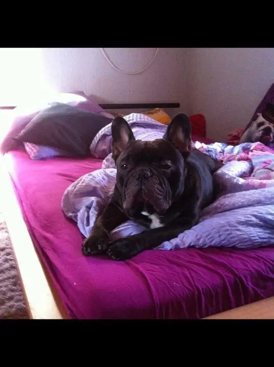 Andachtsbild von Dominique Hellwing