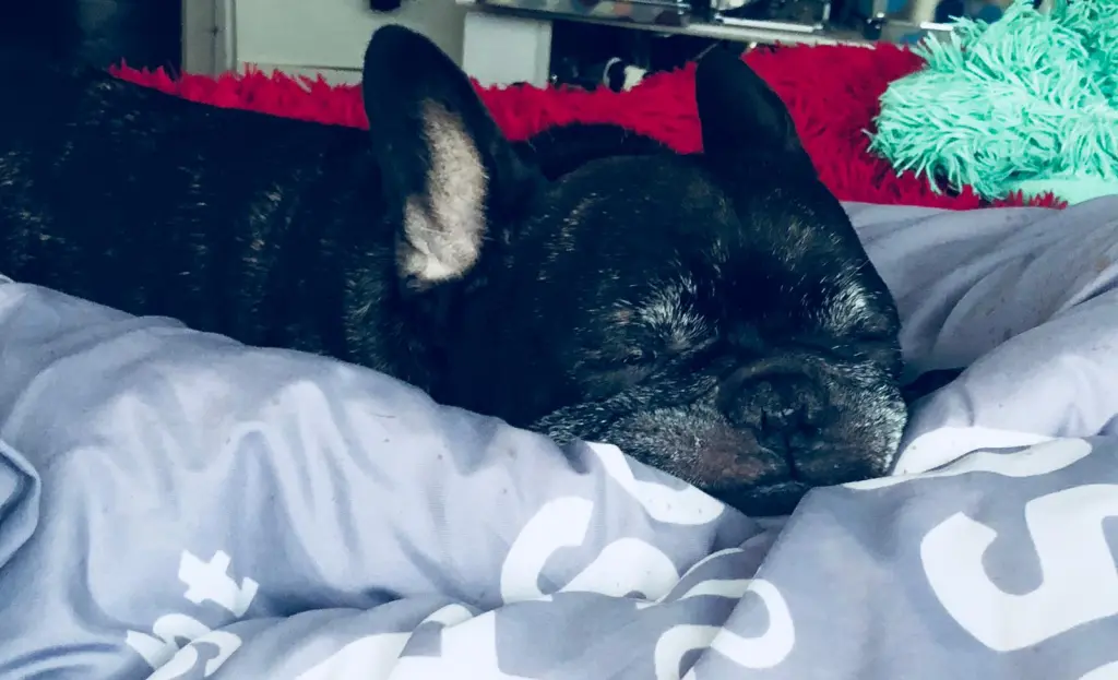 Andachtsbild von Dominique Hellwing