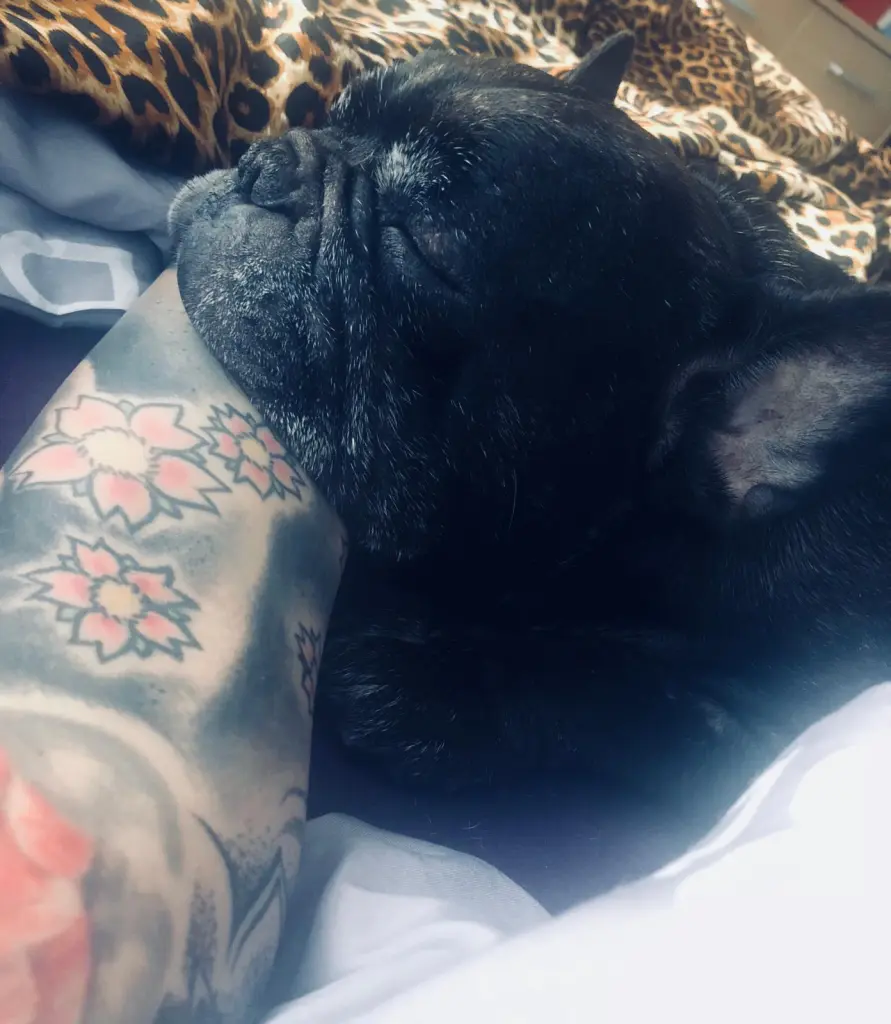 Andachtsbild von Dominique Hellwing