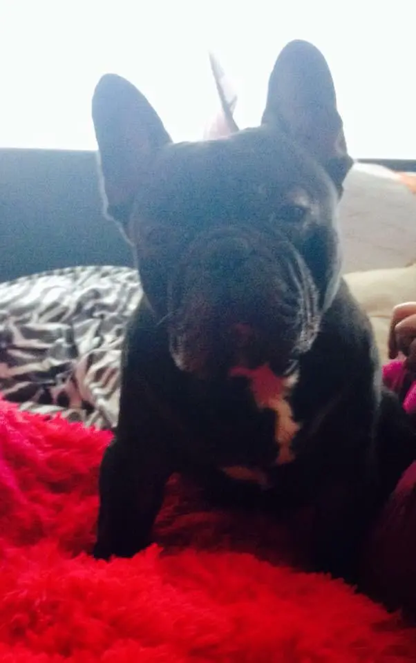 Andachtsbild von Dominique Hellwing