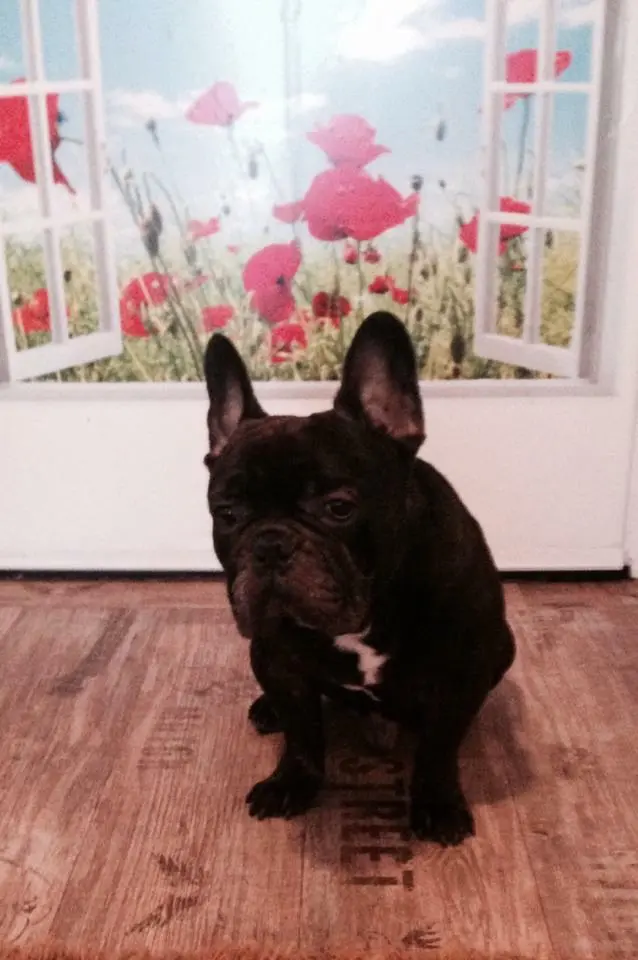 Andachtsbild von Dominique Hellwing