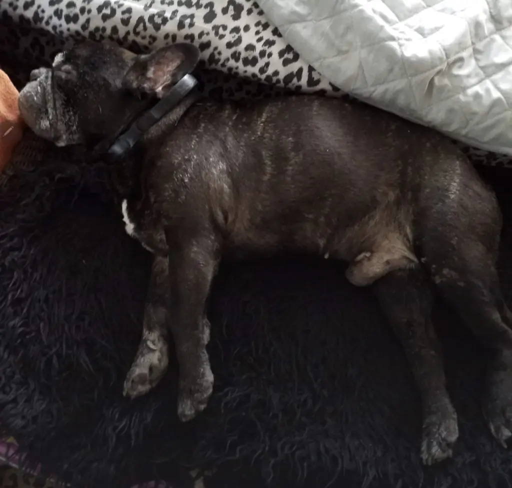 Andachtsbild von Dominique Hellwing