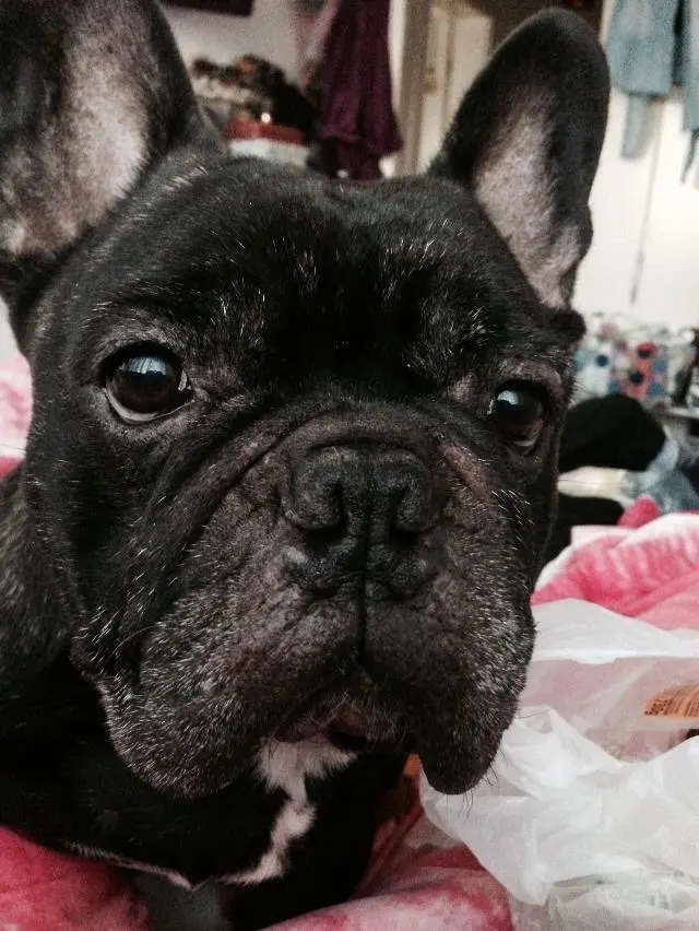 Andachtsbild von Dominique Hellwing